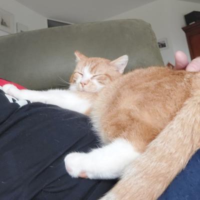 Dorus
