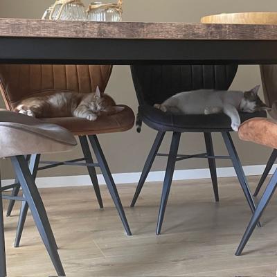 Mickey (voorheen Mike) en Murphy