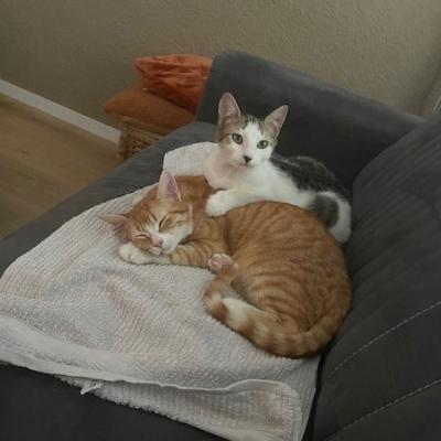 Mickey (voorheen Mike) en Murphy