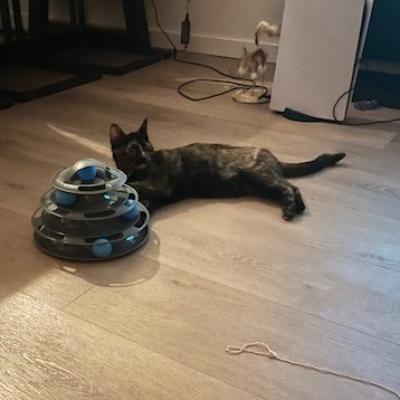 Jacky (Voorheen Nadia)