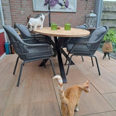 Mickey (voorheen Mike) en Murphy