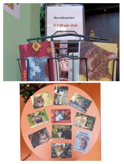 KERSTKAARTEN met foto's van onze adoptiekatten te koop