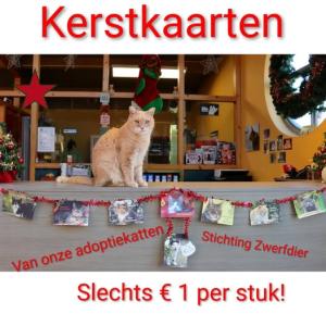 Kerstkaarten